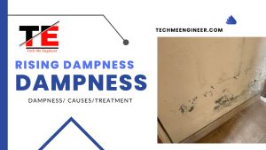 What is Rising dampness? Causes and Easy Way to Treatment in 2023 rising dampness